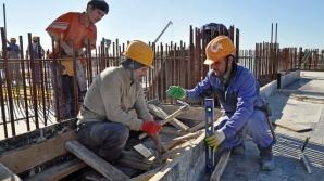 Турецкие строители оказались страшнее медведя