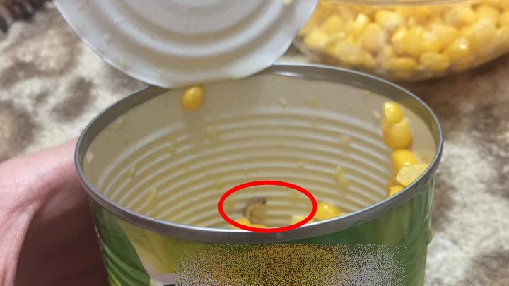 В Кишиневе продается кукуруза с "живым мясом"