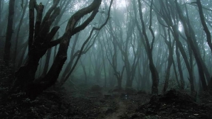 Названо самое страшное место в мире