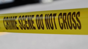 В США подростка из России подозревают в убийстве приемных родителей 