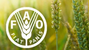 Молдавские фермеры получат финансовую и техническую помощь ФАО