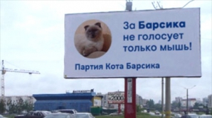Барнаульский кот Барсик заявил о своих президентских амбициях