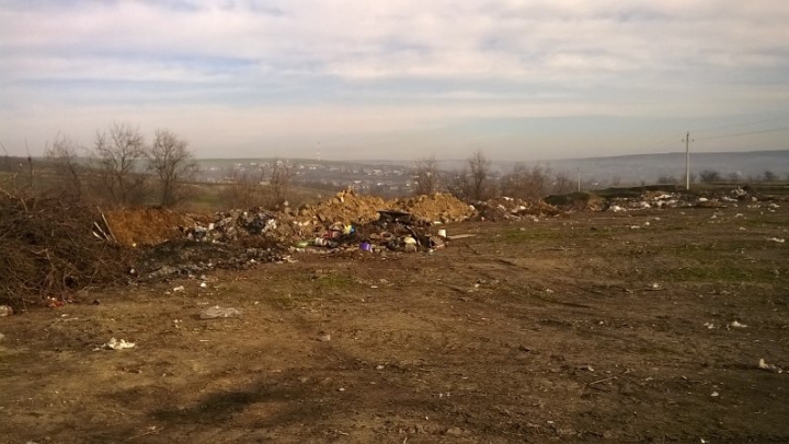 В селе Тараклия Каушанского района на месте стихийной свалки разбили парковую зону