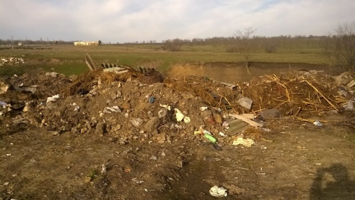 В селе Тараклия Каушанского района на месте стихийной свалки разбили парковую зону