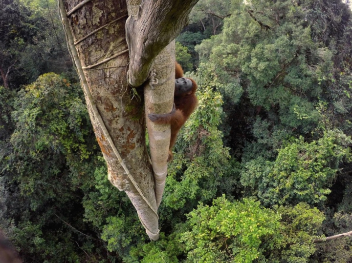 Лучшие фотографии этого года от National Geographic