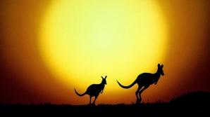 Аномальная жара обрушилась на Австралию