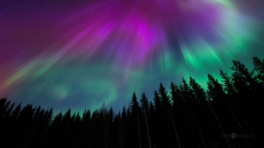 В Финляндии туристы платят по 500 евро, чтобы своими глазами увидеть северное сияние