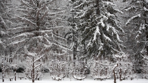 10 января в республике ожидается переменная облачность, без существенных осадков