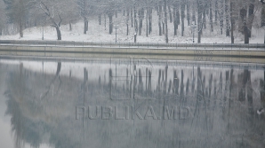 31 января ожидается туман и гололедица