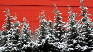 20 января в республике ожидается переменная облачность, местами слабый туман