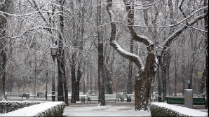 10 января в Молдове ожидается переменная облачность, без существенных осадков