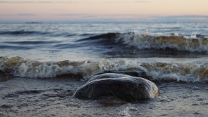 Прокуратура начала проверку после пропажи в Финском заливе судна