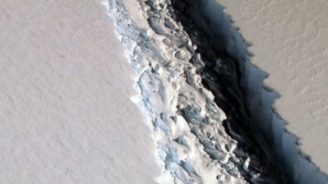 Видео гигантской трещины во льдах Антарктиды шокировало Сеть