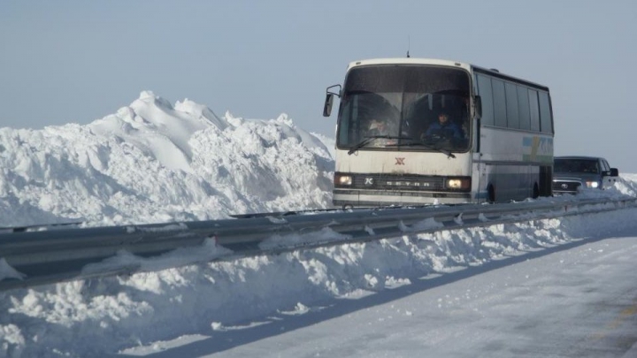 В Новокузнецке упавшую в обморок девочку высадили из автобуса на мороз