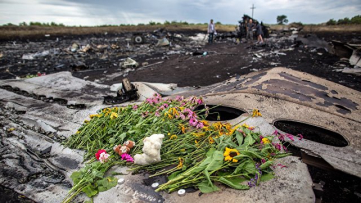 Семьи пассажиров MH17 хотят попросить власти возобновить поиск останков