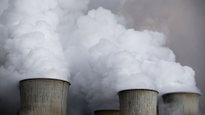 Экологи рассказали о последствиях человеческой деятельности на Земле