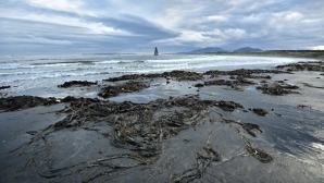 Япония направила России протест из-за планов разместить дивизию на Курилах