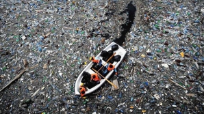 ООН объявила кампанию по борьбе с загрязнением мирового океана