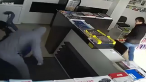 Обвиняемые по делу о нападении на магазин в Ставченах помещены под предварительный арест