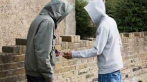 В Бельцах и Рышканах задержаны восемь человек по подозрению в торговле наркотиками