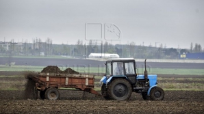Агентство по платежам в сельском хозяйстве наградило успешных фермеров