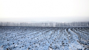 Два родных брата замерзли насмерть в поле под Саратовом 