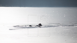 Рыболовы продолжают рисковать жизнью, выходя на лёд