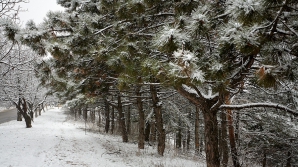 Мороз и снегопады не прекращаются: что ждет Молдову в ближайшие дни
