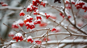 Прогноз погоды на 12 февраля 