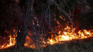 В Штате Оклахома бушует сильный природный пожар