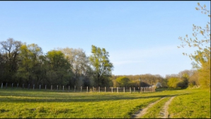 Зимой животных заповедника "Pădurea Domnească" подкармливают сеном и фуражом