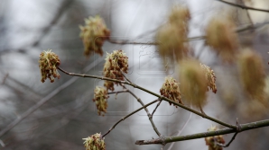 На следующей неделе синоптики прогнозируют потепление