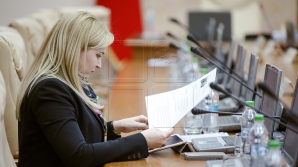 Руксанда Главан рассказала о главных задачах больничной реформы