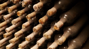 В столице открылась выставка "Эксповин-2017"