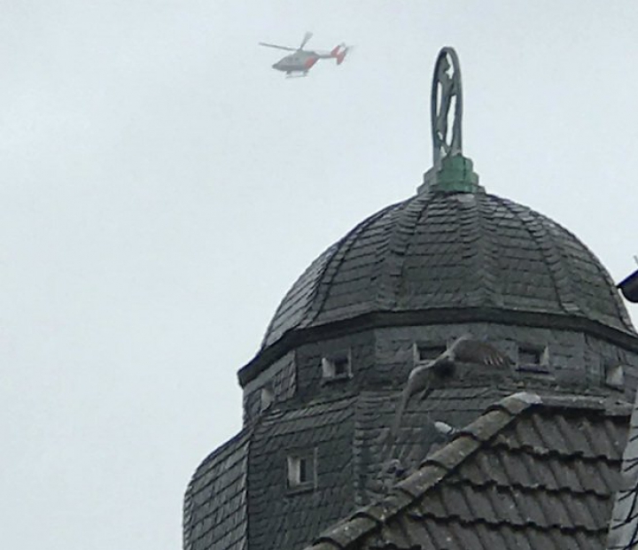 В немецкую школу ворвался вооруженный мужчина