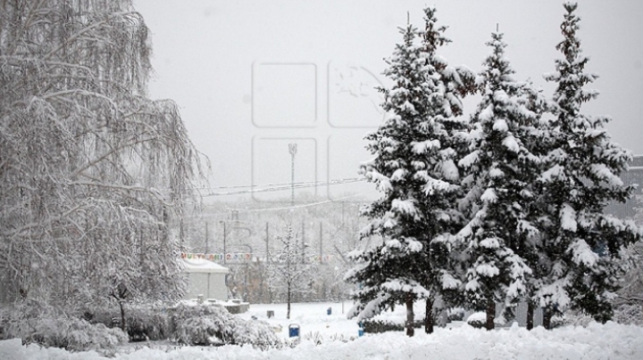 Прогноз погоды на 21 февраля