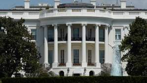 Женщина застряла на ограждении, пытаясь проникнуть на территорию Белого дома