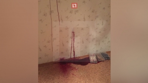 Жительница Воронежа пожаловалась, что в её квартире "кровоточат" стены