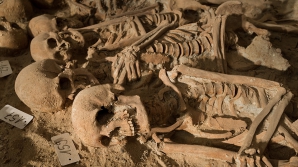 В Мексике в тайном захоронении найдены тела 240 человек