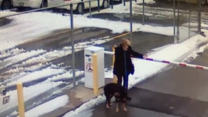 Удар по лицу: женщина поплатилась за невнимательность во время прогулк