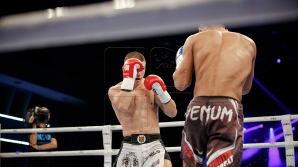 Важный этап в карьере бойца К-1 Александра Препелицэ