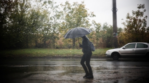 На севере и в центре страны ожидаются дожди