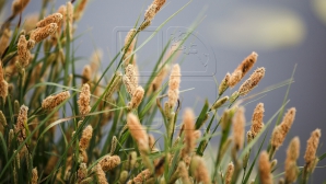 5 марта в республике ожидается переменная облачность