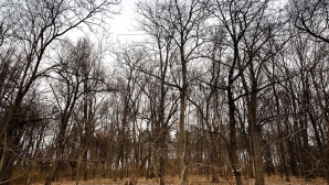 Прогноз погоды на 25 марта 