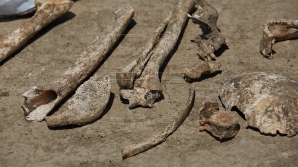 В Испании найдена стоянка древних людоедов