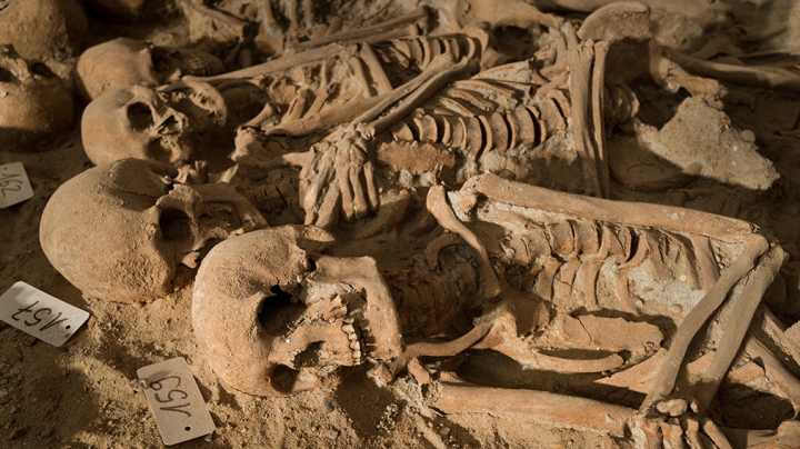 В Мексике в тайном захоронении найдены тела 240 человек