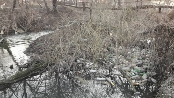 Фото: Река Бык все больше напоминает мусорку.