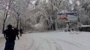 До сих пор полностью или частично обесточены 415 населённых пунктов