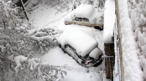 Почти 400 сотрудников экстренных служб боролись с последствиями непогоды в столице