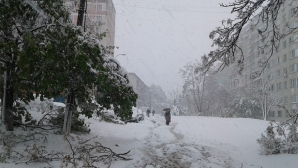 Кризисный центр работает в полном режиме